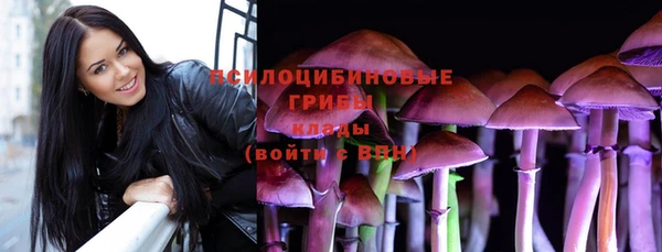 соль курить ск Заводоуковск